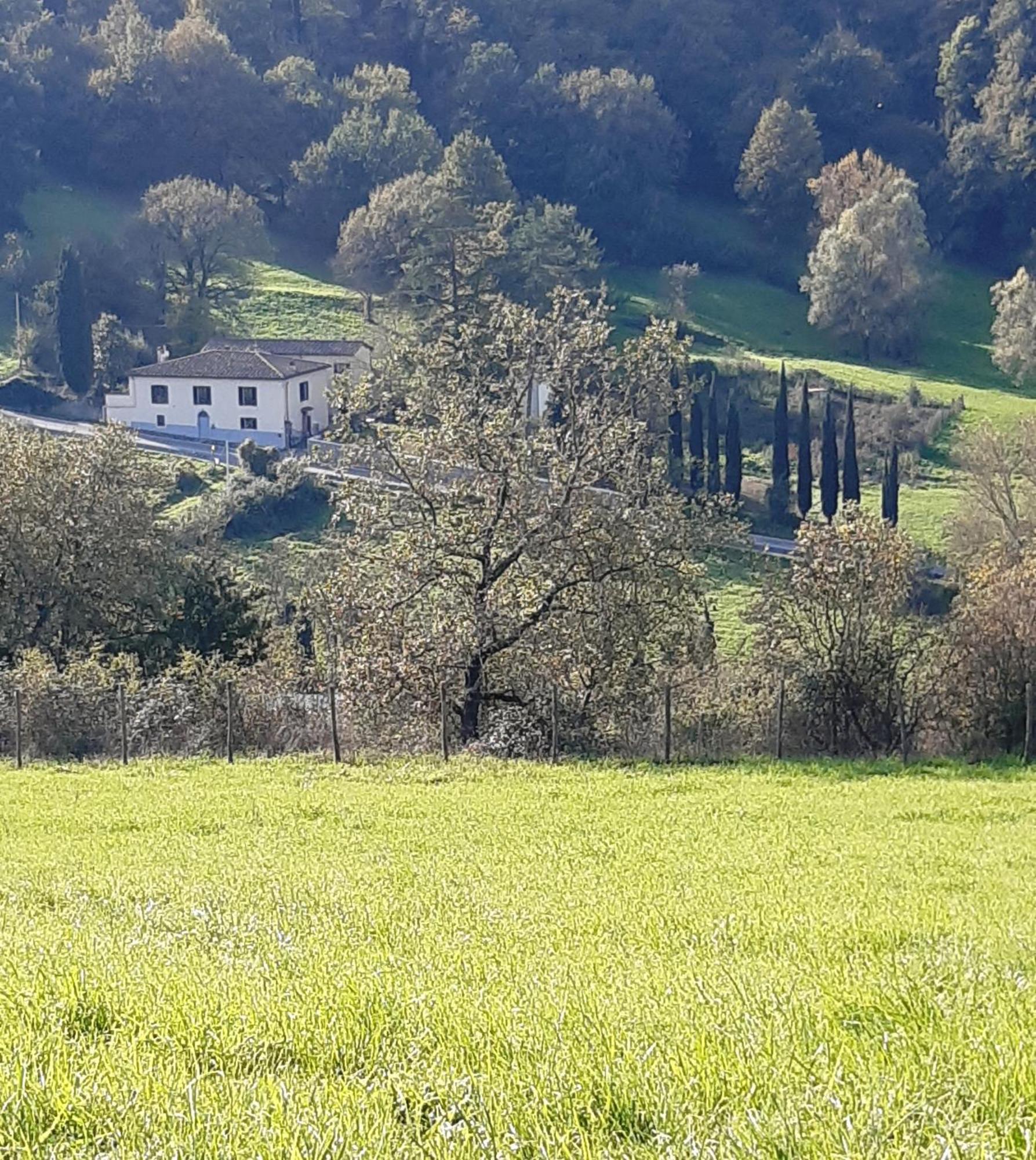 Casa Al Miglio Βίλα Pratolino Εξωτερικό φωτογραφία